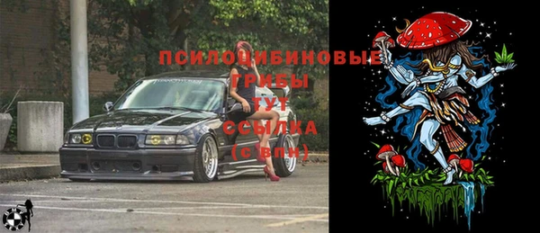spice Зеленодольск