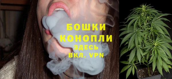 spice Зеленодольск