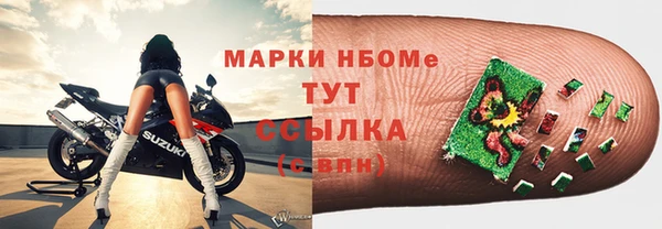 прущие крисы Тайга